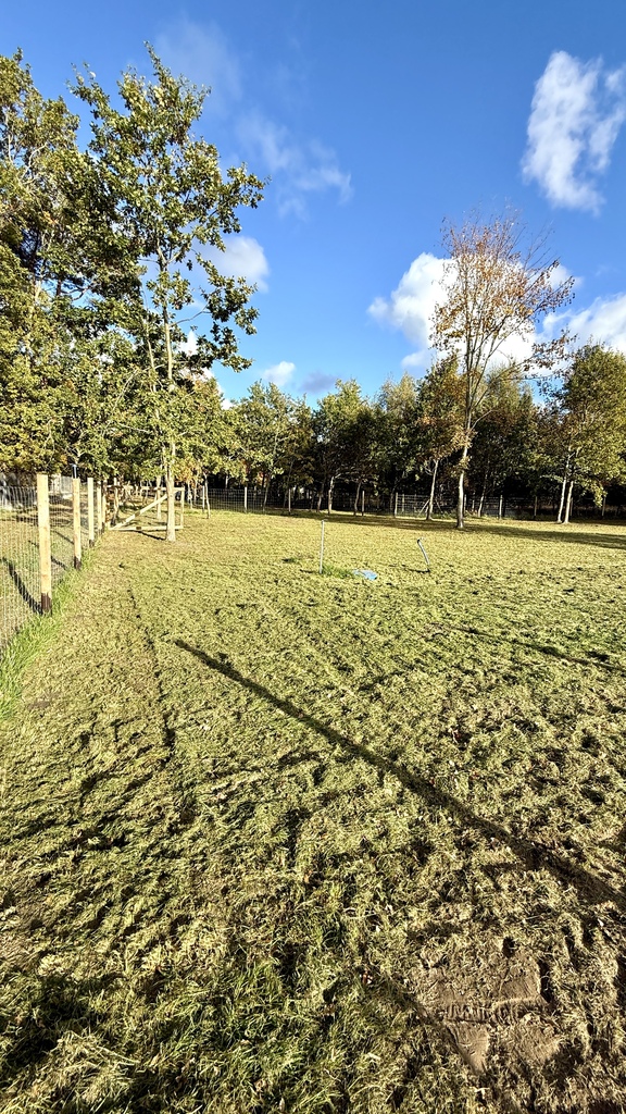 Piękne działki z planem 200m od morza w Niechorzu! (28)