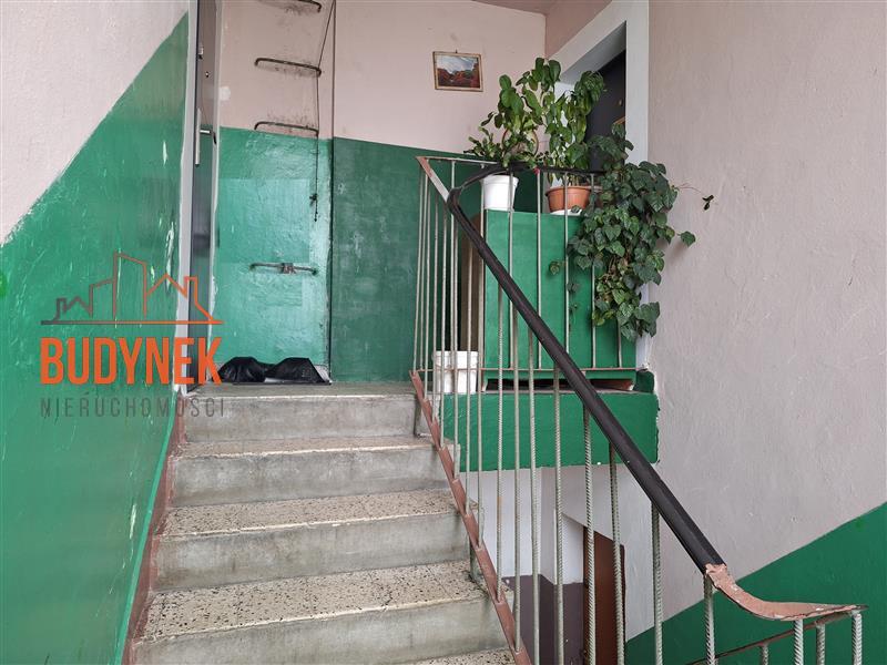 Mieszkanie - Cisowo  (5)