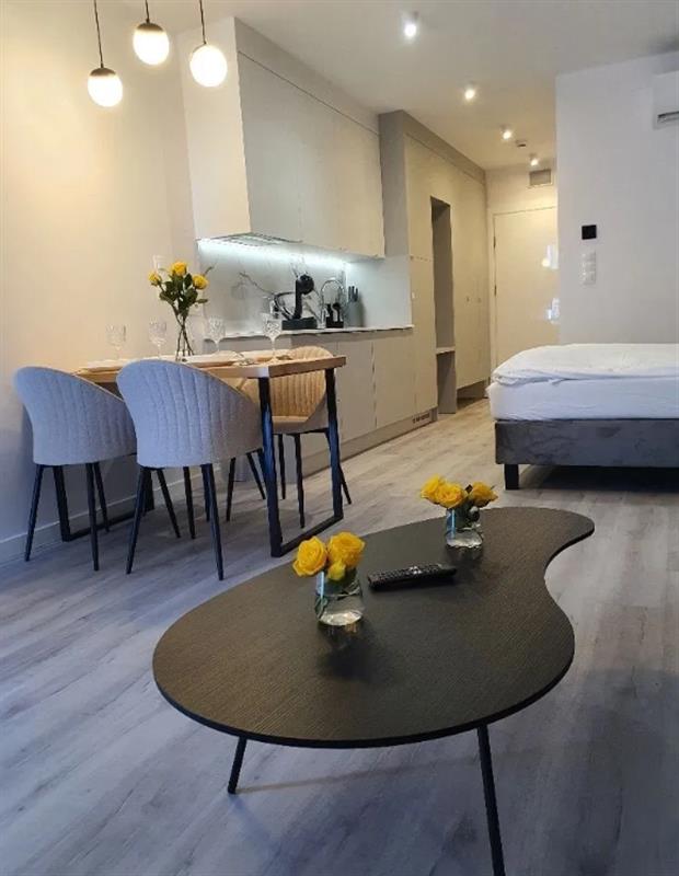 Apartament Premium z basenem na dachu - 350 m od m (1)