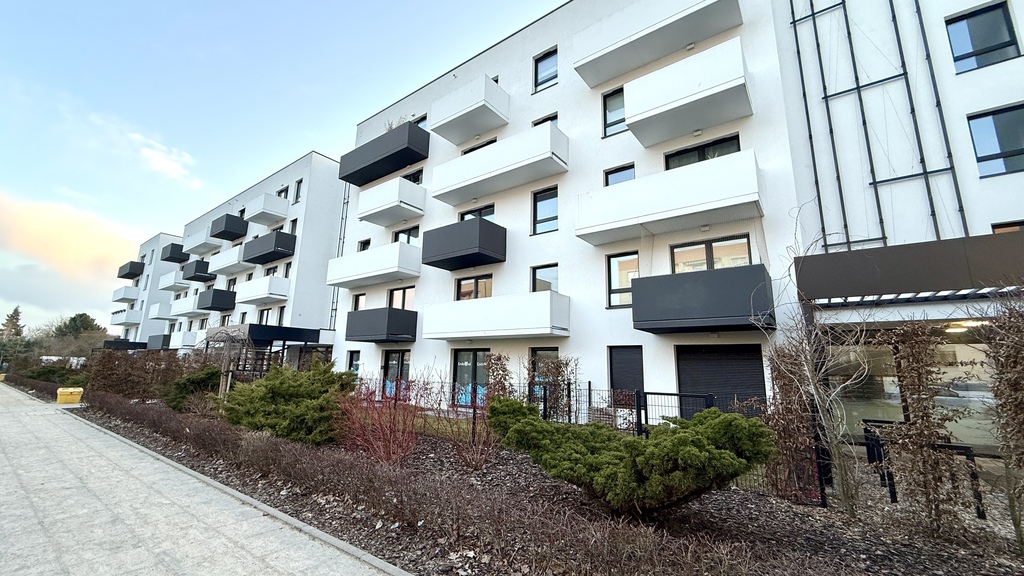 Do wynajęcia 3 pokoje przy parku- Pogodno II (21)