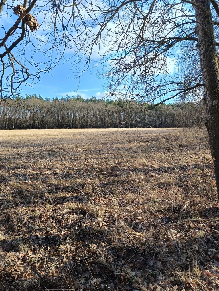 Działka 3463 m2 z WZ na 4 domy (2)