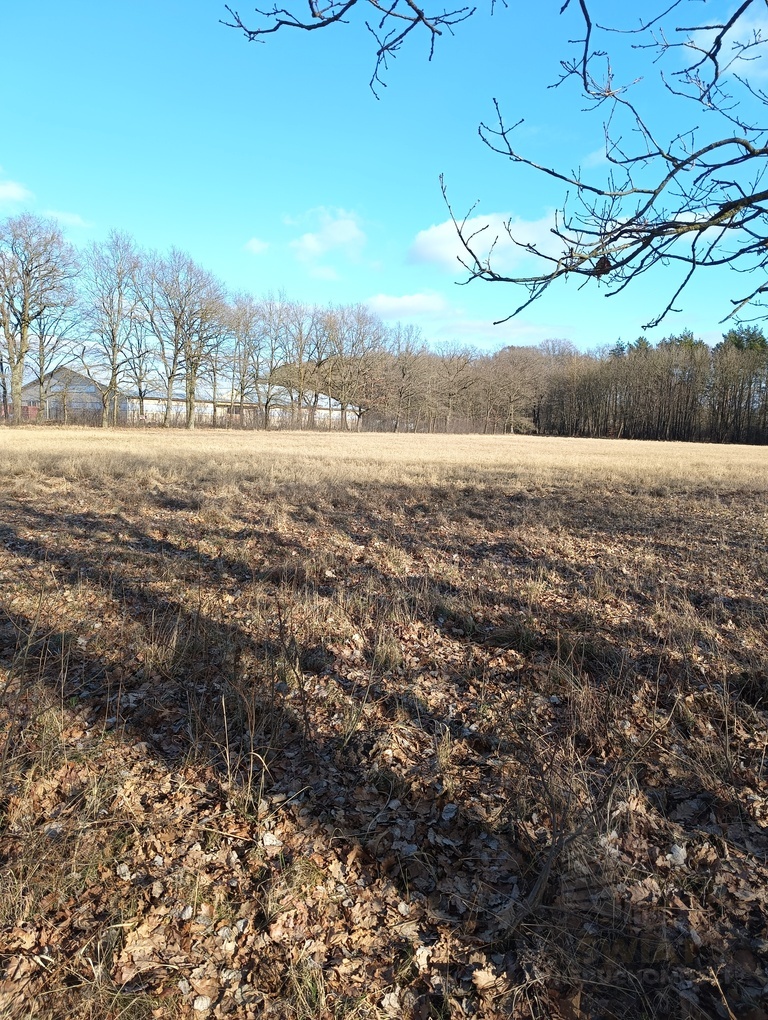 Działka 3463 m2 z WZ na 4 domy (3)