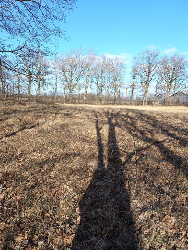 Działka 3463 m2 z WZ na 4 domy (4)