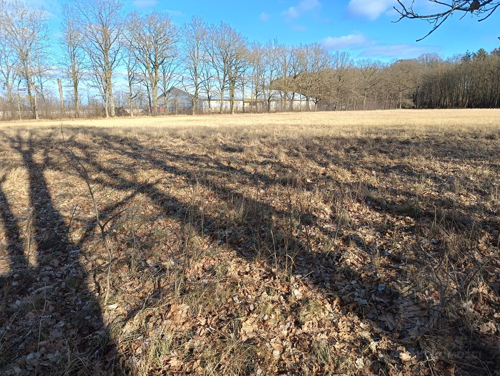 Działka 3463 m2 z WZ na 4 domy (5)