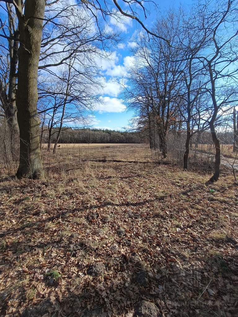 Działka 3463 m2 z WZ na 4 domy (7)