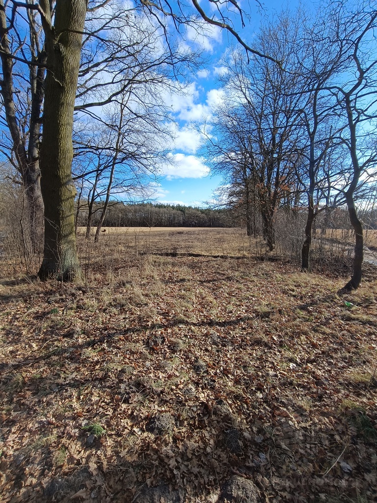 Działka 3463 m2 z WZ na 4 domy (8)