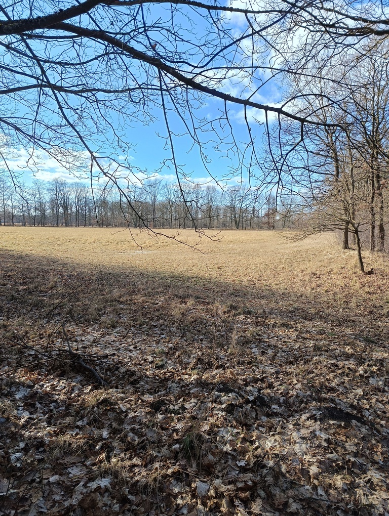 Działka 3463 m2 z WZ na 4 domy (9)