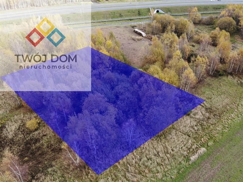 Działka - Stare Bielice  (5)