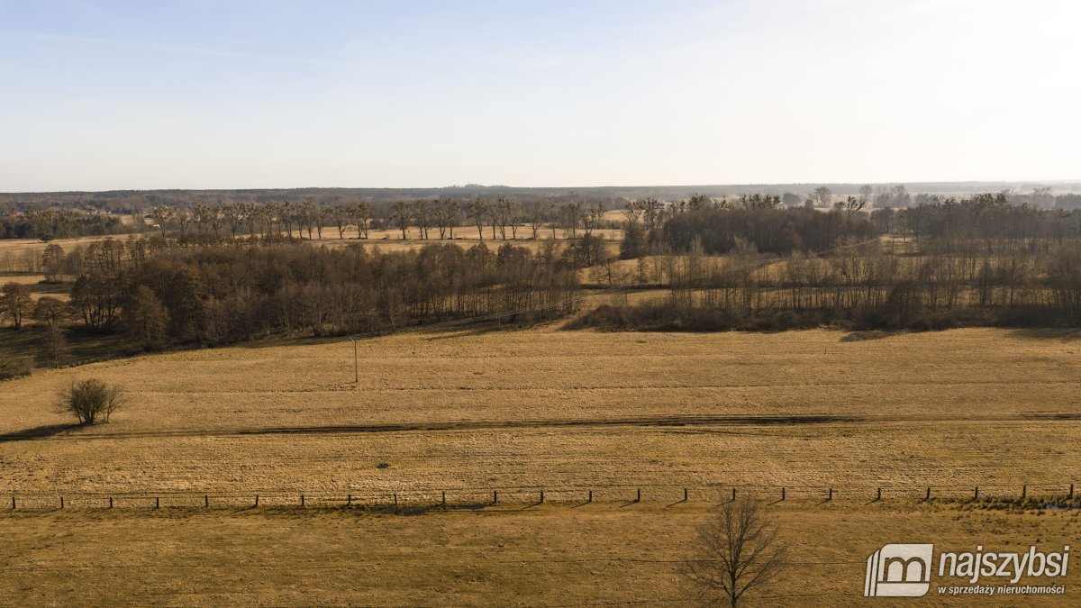 Stepnica-Racimierz-Żarnowo - działka rolna 2,78 ha (14)