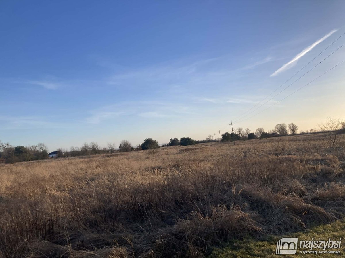 Stepnica-Racimierz-Żarnowo - działka rolna 2,78 ha (2)