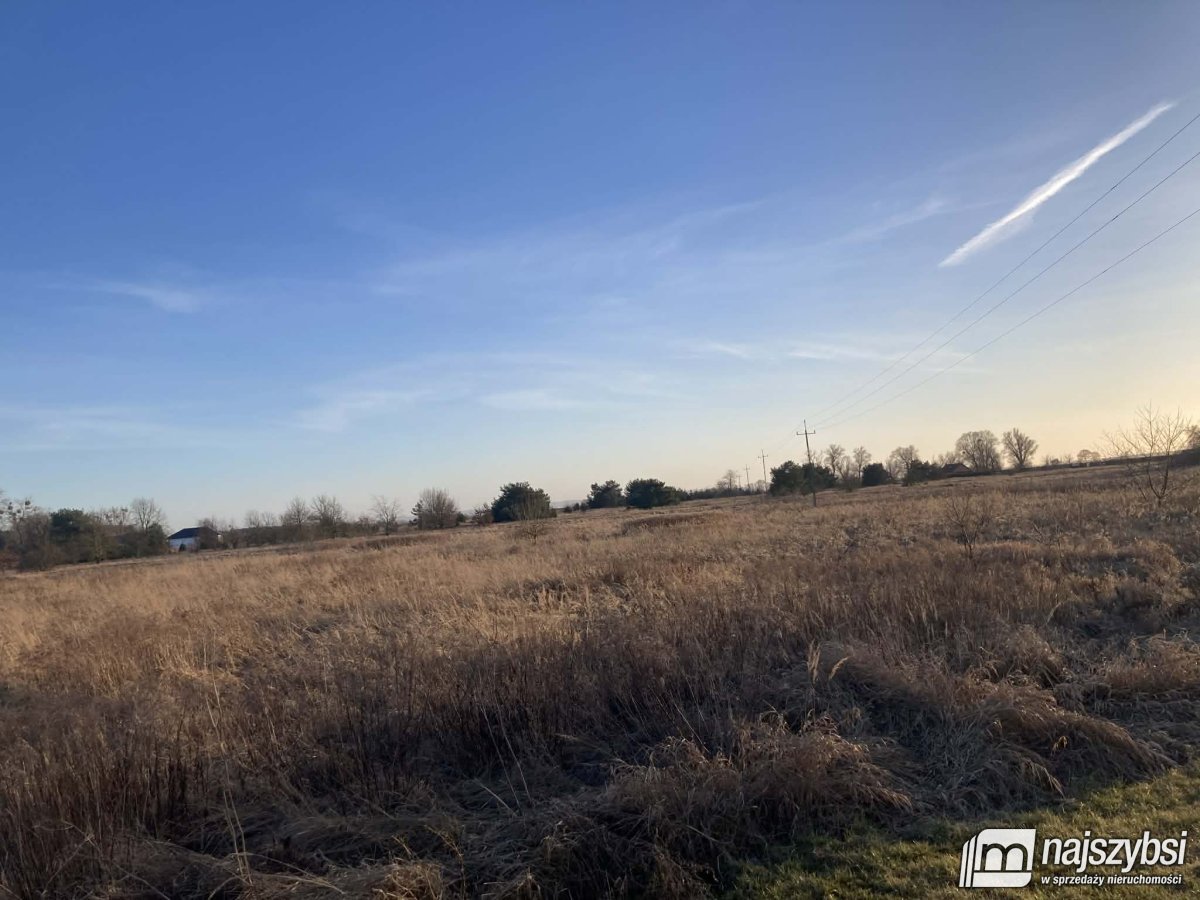 Stepnica-Racimierz-Żarnowo - działka rolna 2,78 ha (4)