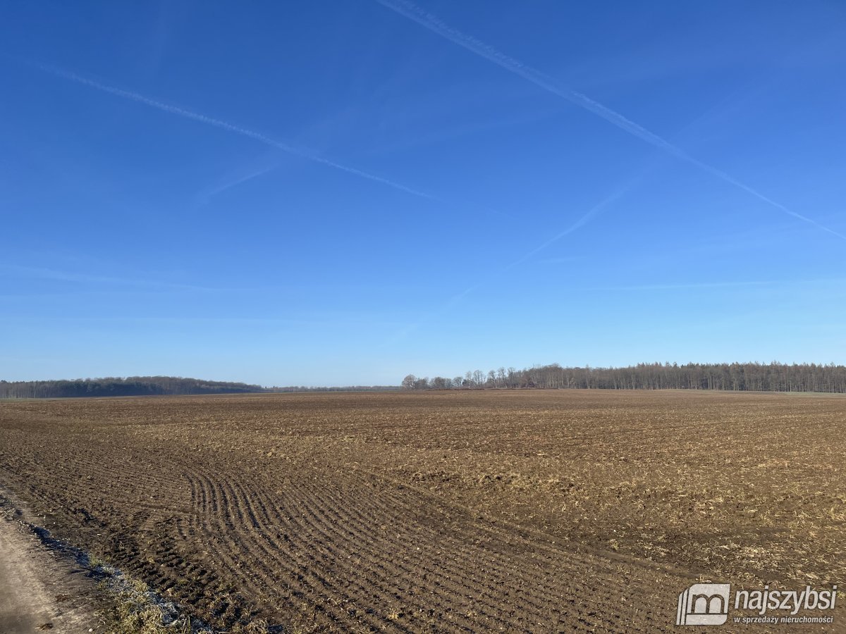 Stepnica-Racimierz-Żarnowo - działka rolna 3,13 ha (10)