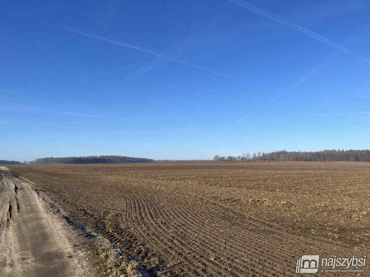 Stepnica-Racimierz-Żarnowo - działka rolna 3,13 ha (11)