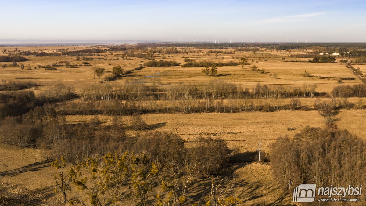Stepnica-Racimierz-Żarnowo - działka rolna 3,13 ha (13)