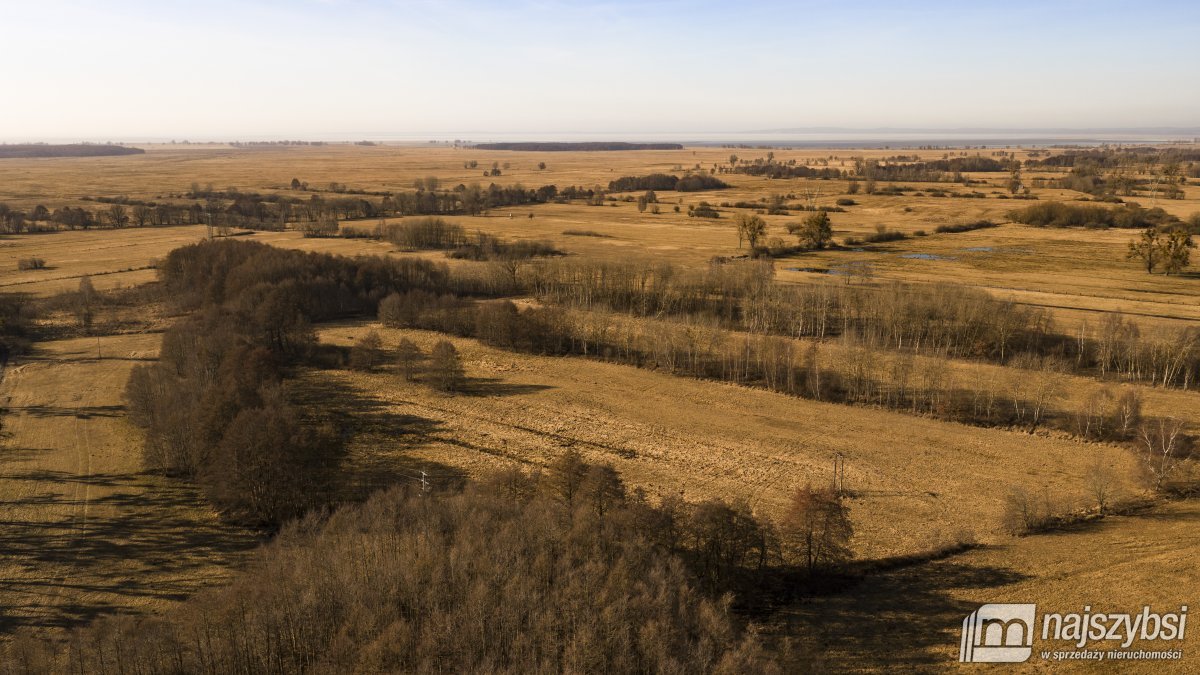Stepnica-Racimierz-Żarnowo - działka rolna 3,13 ha (14)