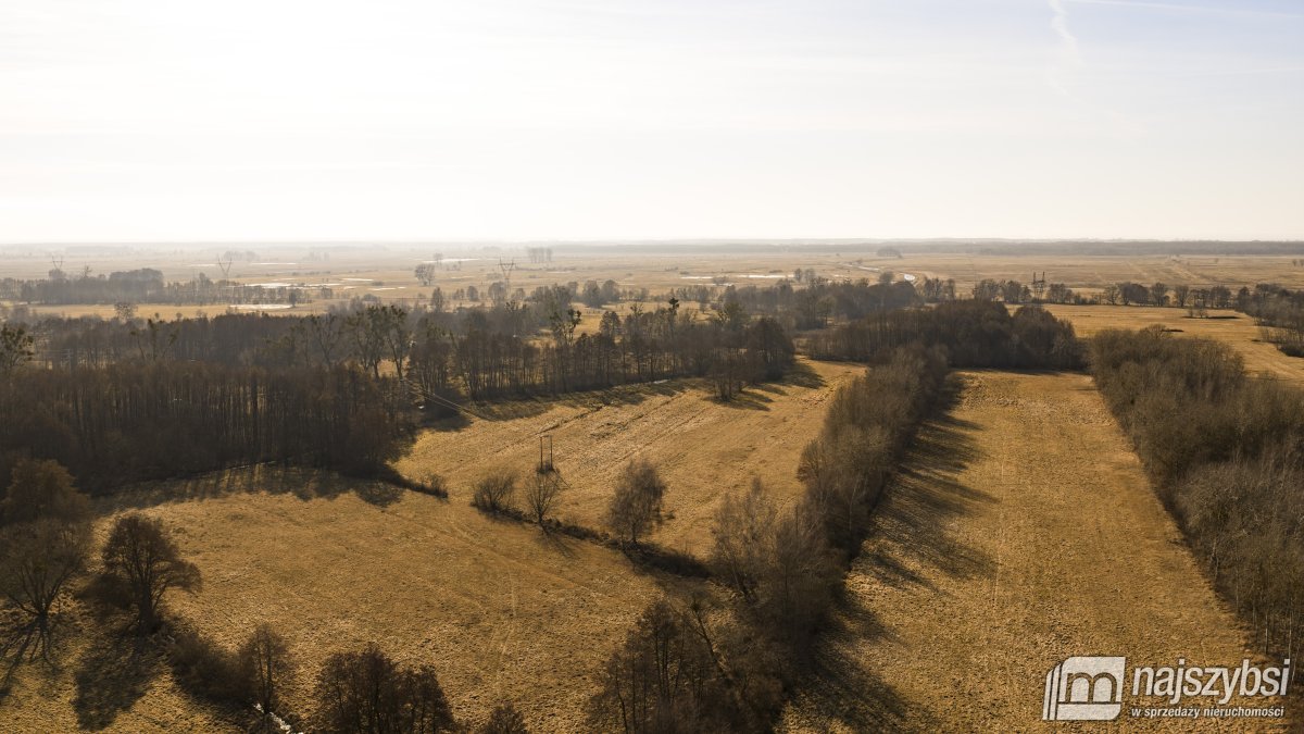 Stepnica-Racimierz-Żarnowo - działka rolna 3,13 ha (15)