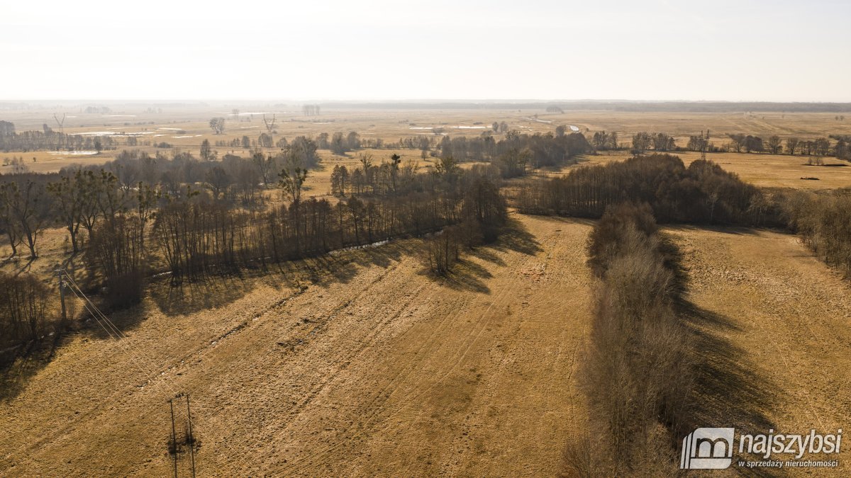 Stepnica-Racimierz-Żarnowo - działka rolna 3,13 ha (16)
