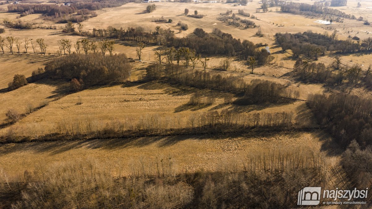 Stepnica-Racimierz-Żarnowo - działka rolna 3,13 ha (17)