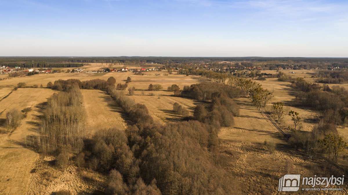 Stepnica-Racimierz-Żarnowo - działka rolna 3,13 ha (19)