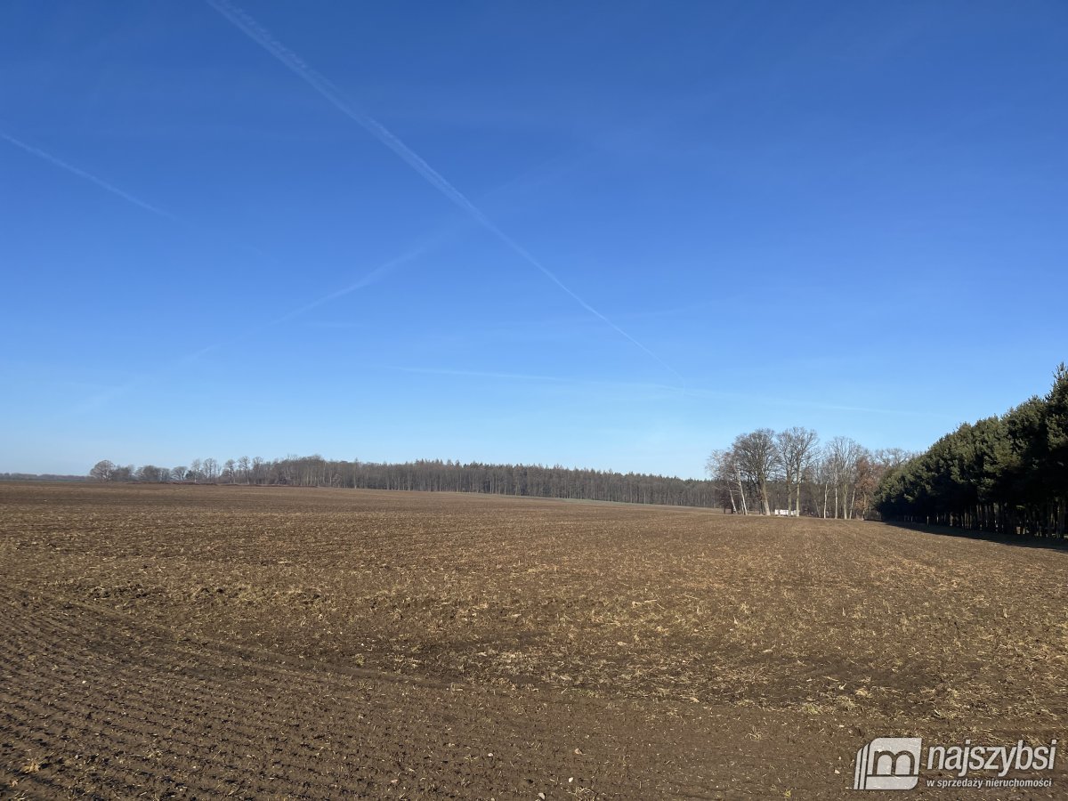 Stepnica-Racimierz-Żarnowo - działka rolna 3,13 ha (7)