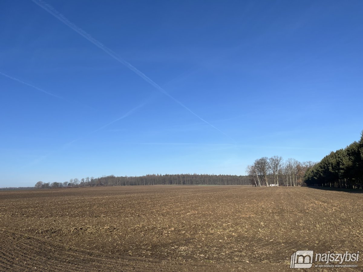 Stepnica-Racimierz-Żarnowo - działka rolna 3,13 ha (8)