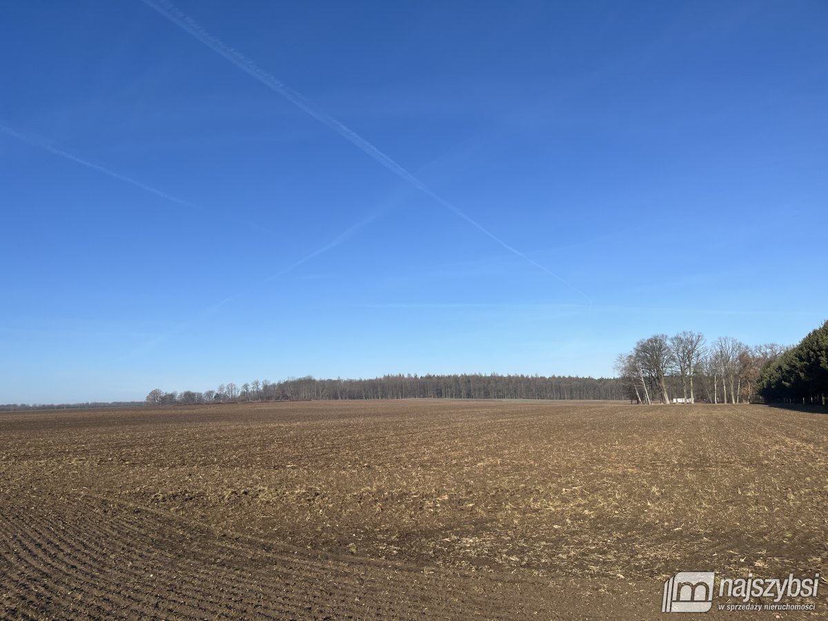 Stepnica-Racimierz-Żarnowo - działka rolna 3,13 ha (9)