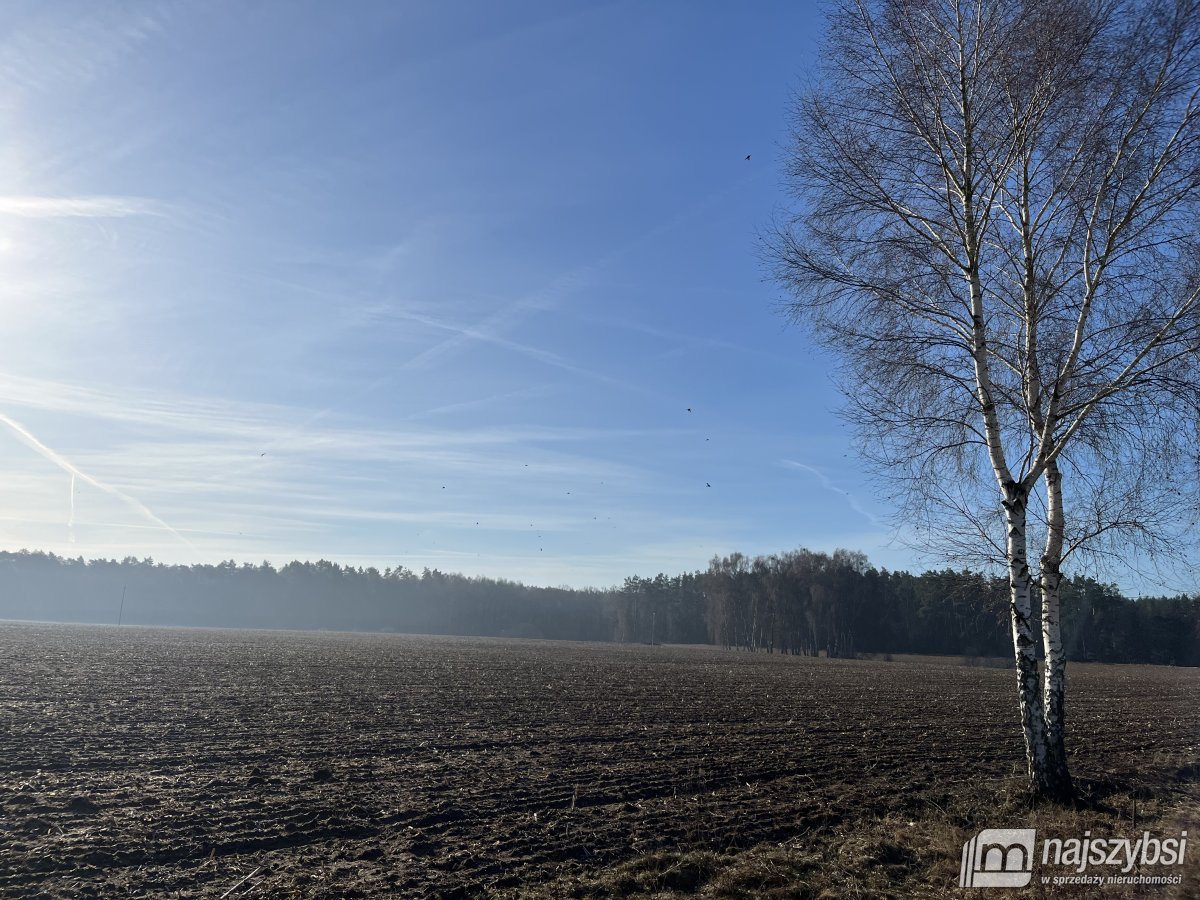 Stepnica-Racimierz-Łąka - działka rolna 1,34 ha (2)
