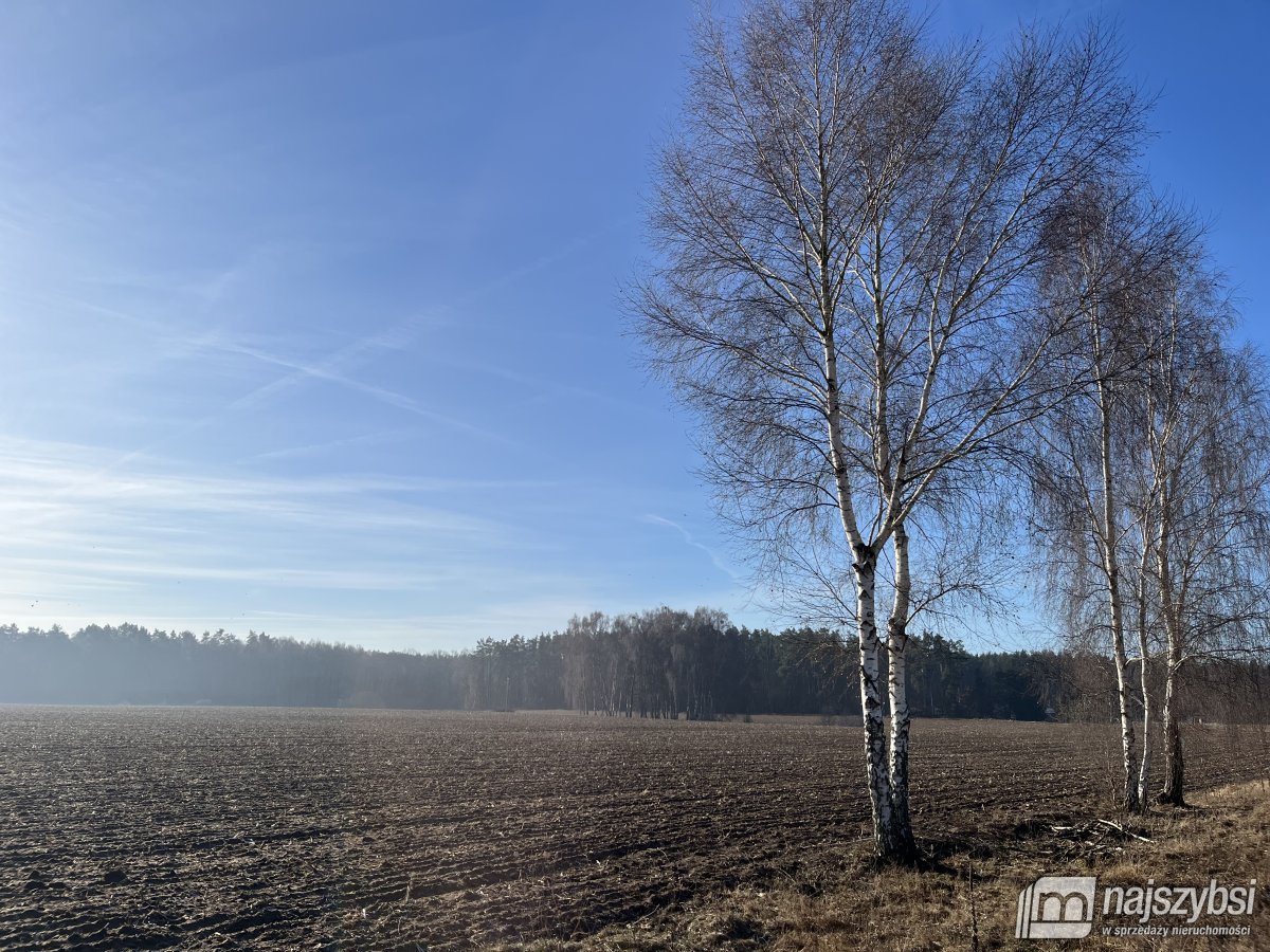 Stepnica-Racimierz-Łąka - działka rolna 1,34 ha (3)