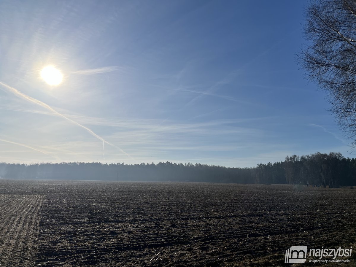 Stepnica-Racimierz-Łąka - działka rolna 1,34 ha (4)