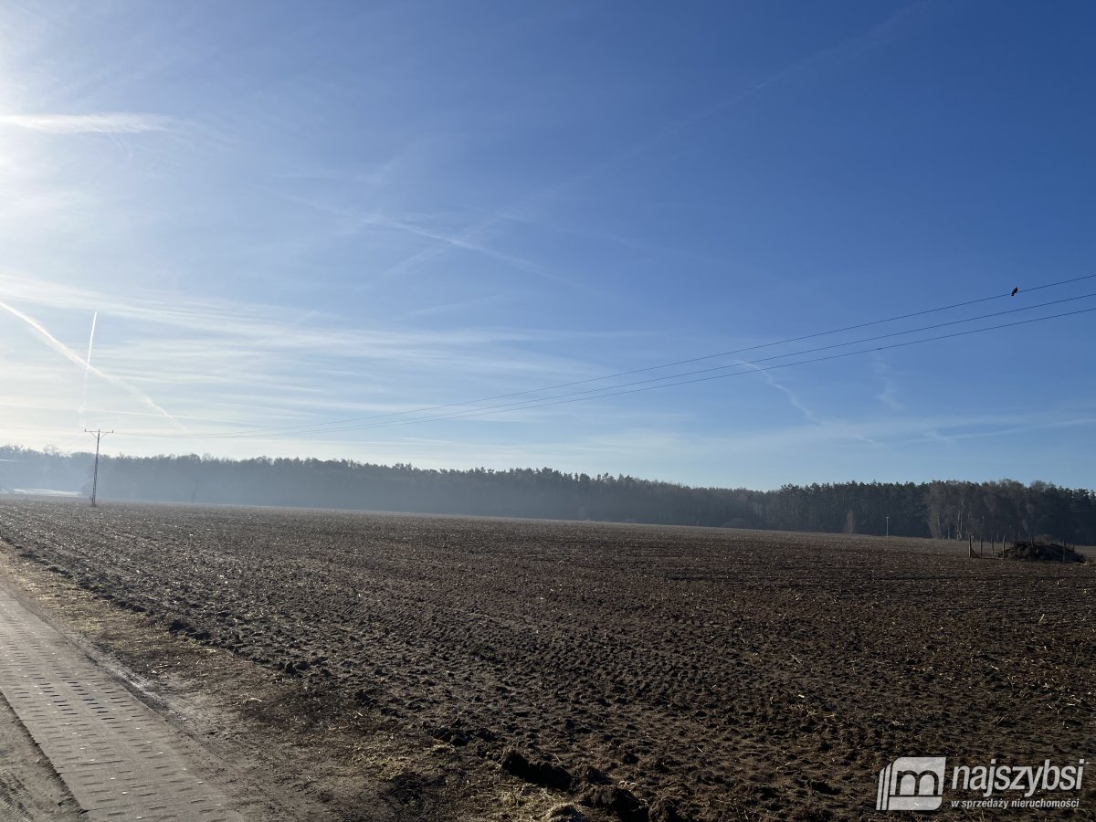 Stepnica-Racimierz-Łąka - działka rolna 1,34 ha (5)