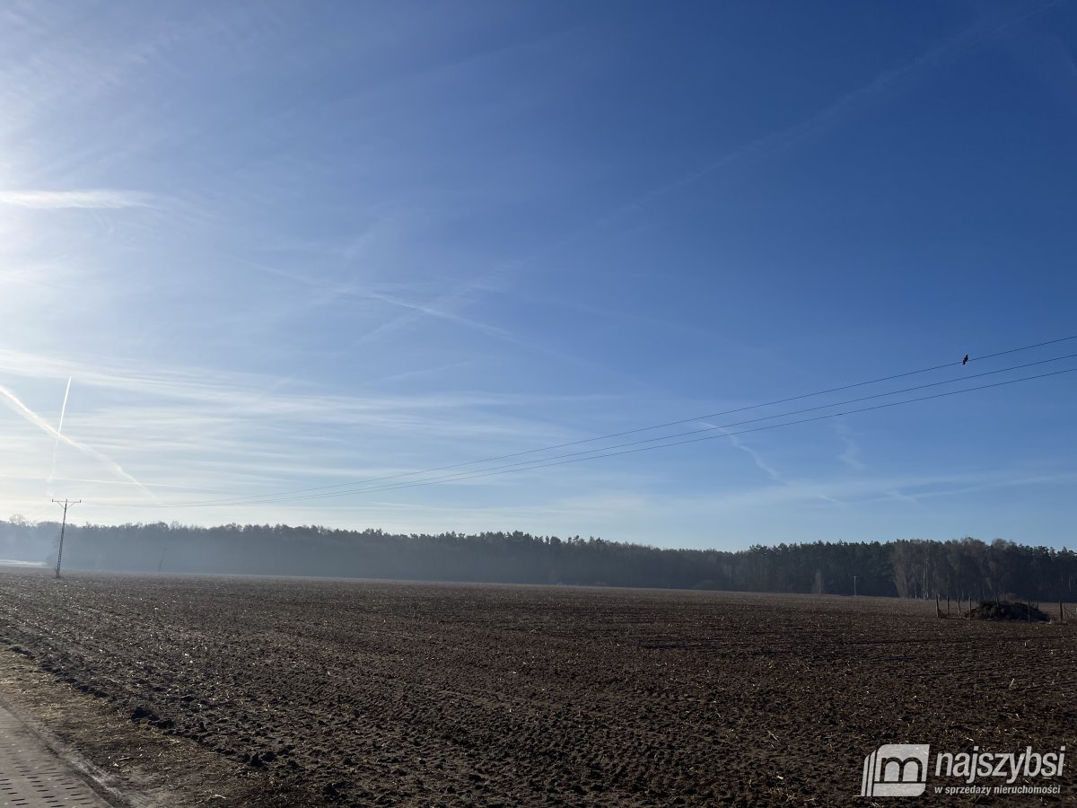 Stepnica-Racimierz-Łąka - działka rolna 1,34 ha (6)