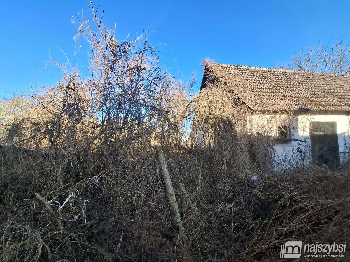 Resko obrzeża - skrajny szereg sprzedaż (3)