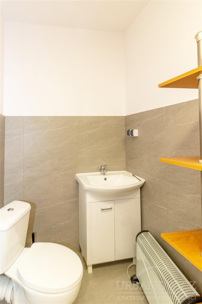 Lokal użytkowy ul. Domina. Pasaż Millennium (5)