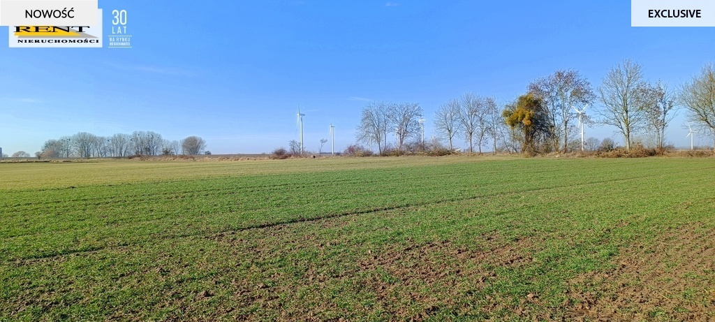 Działka Siedliskowa przy asfalcie Woda w drodze (2)