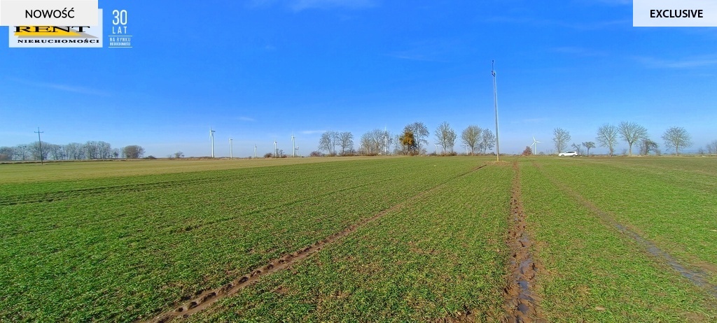 Działka Siedliskowa przy asfalcie Woda w drodze (4)