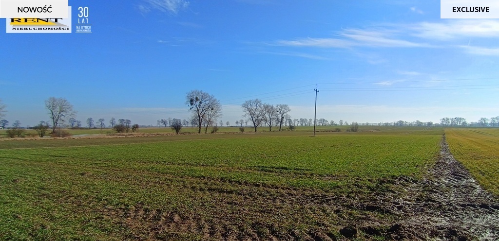 Działka Siedliskowa przy asfalcie Woda w drodze (5)