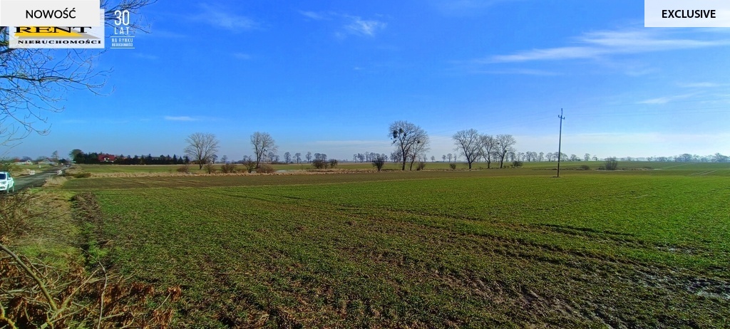 Działka Siedliskowa przy asfalcie Woda w drodze (6)