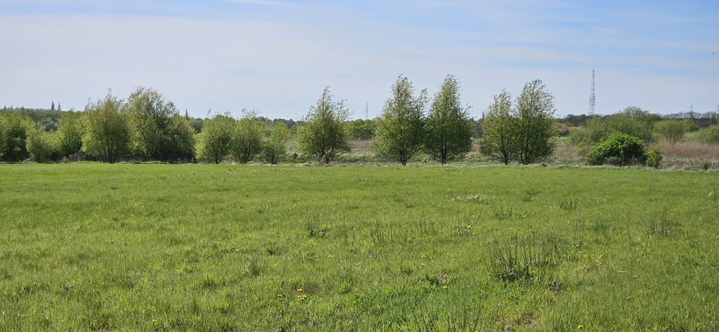 Szczecin - zielone tereny Skolwin (mpzp) (5)