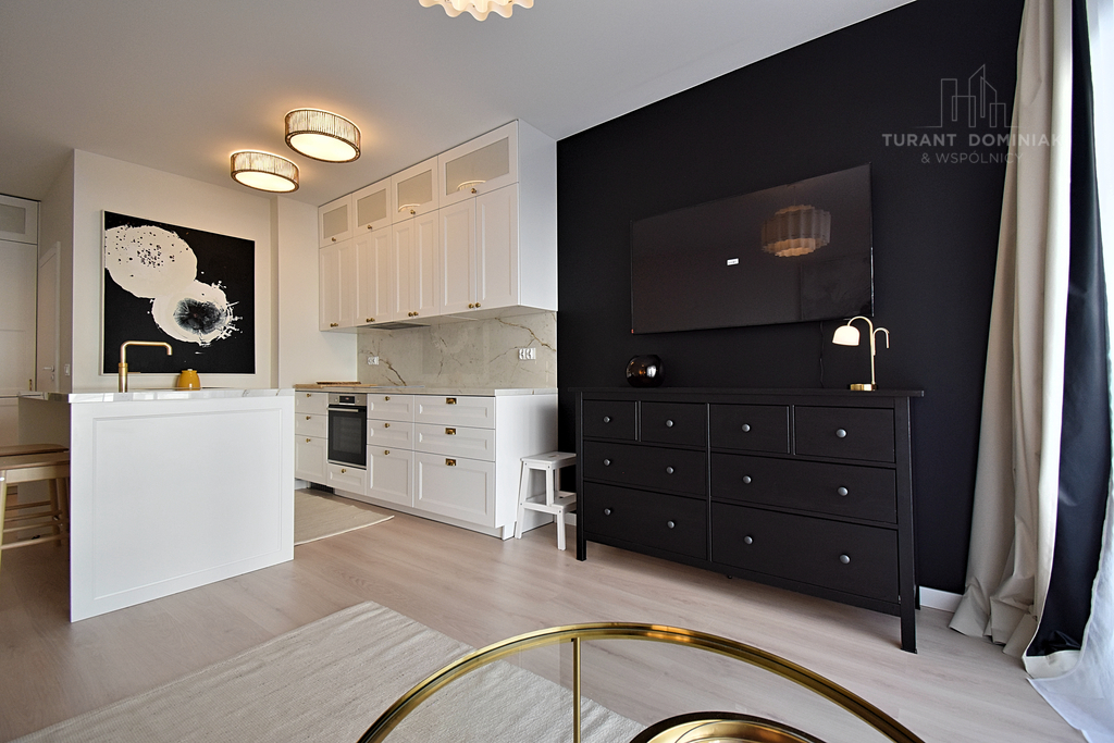 Mieszkanie z dużym tarasem na Łasztowni (3)