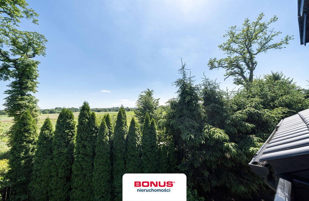 Dom wolnostojący z ogrodem 791 m2 | Koninko | (6)