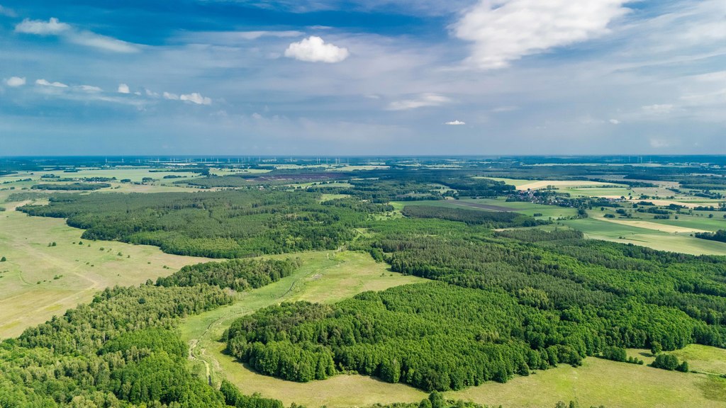 Wilczkowo - atrakcyjne działki ponad 1030m2 z WZ! (8)