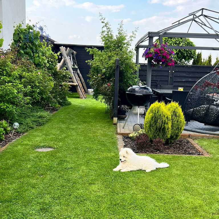 Pucice | Dom z sauną, fotowoltaiką i klimatem (7)