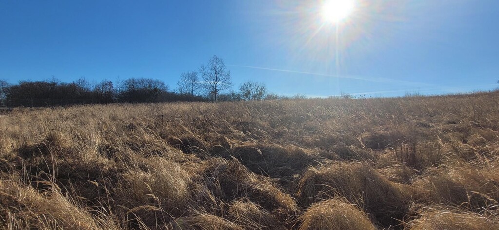 Działka  z widokiem,  802 m2,  MPZP! (1)