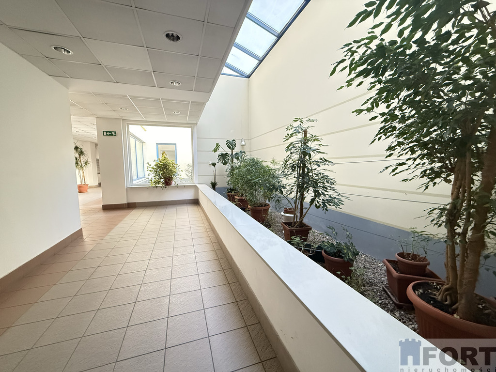 Komfortowy apartament przy Pl.Batorego z garażem (20)