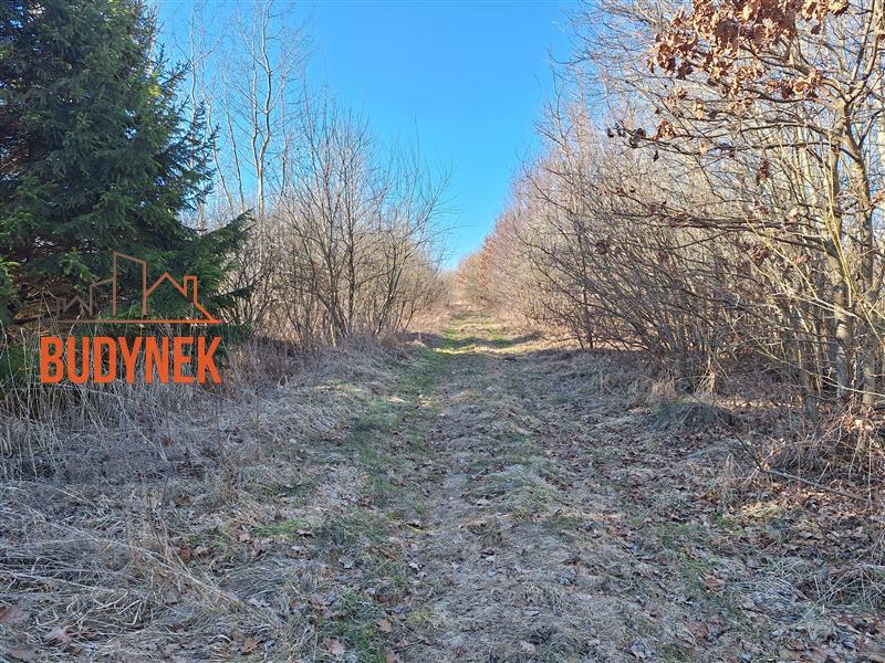 Działka budowlana - Gleźnowo  (5)