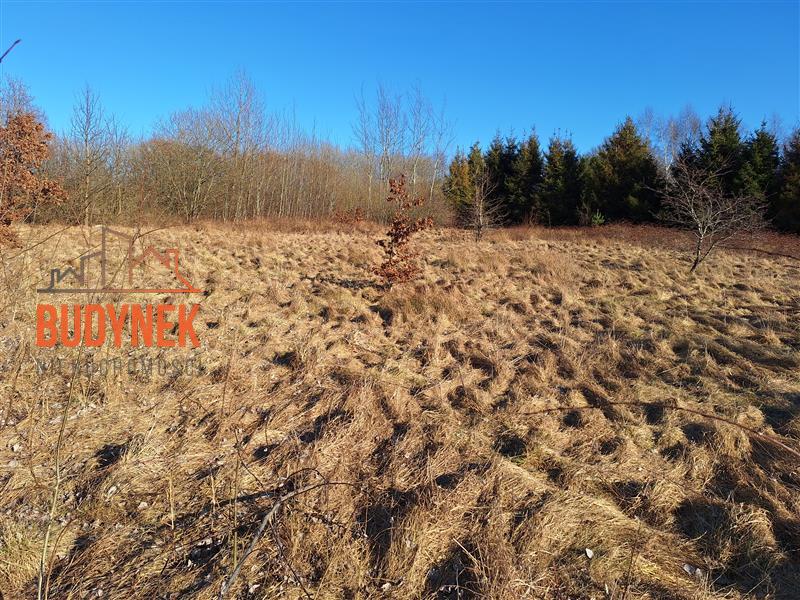 Działka budowlana - Gleźnowo  (7)