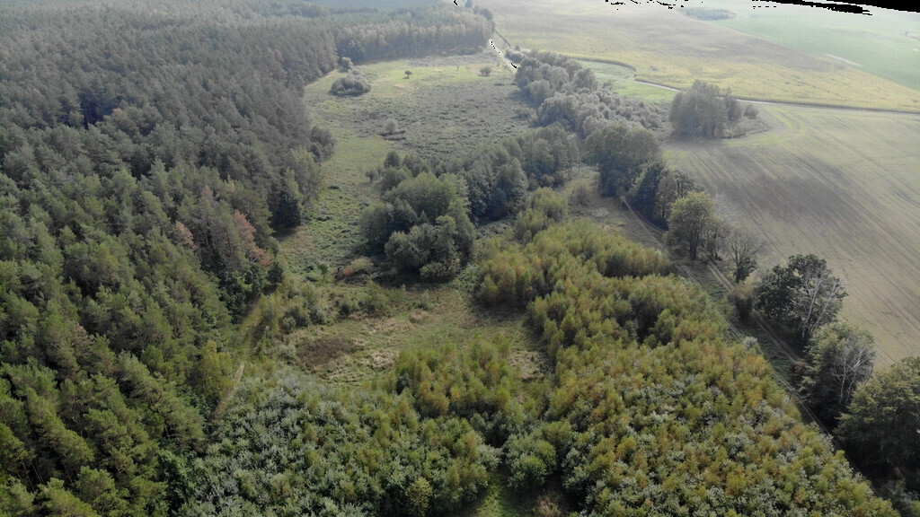 Działka przy lesie (2)