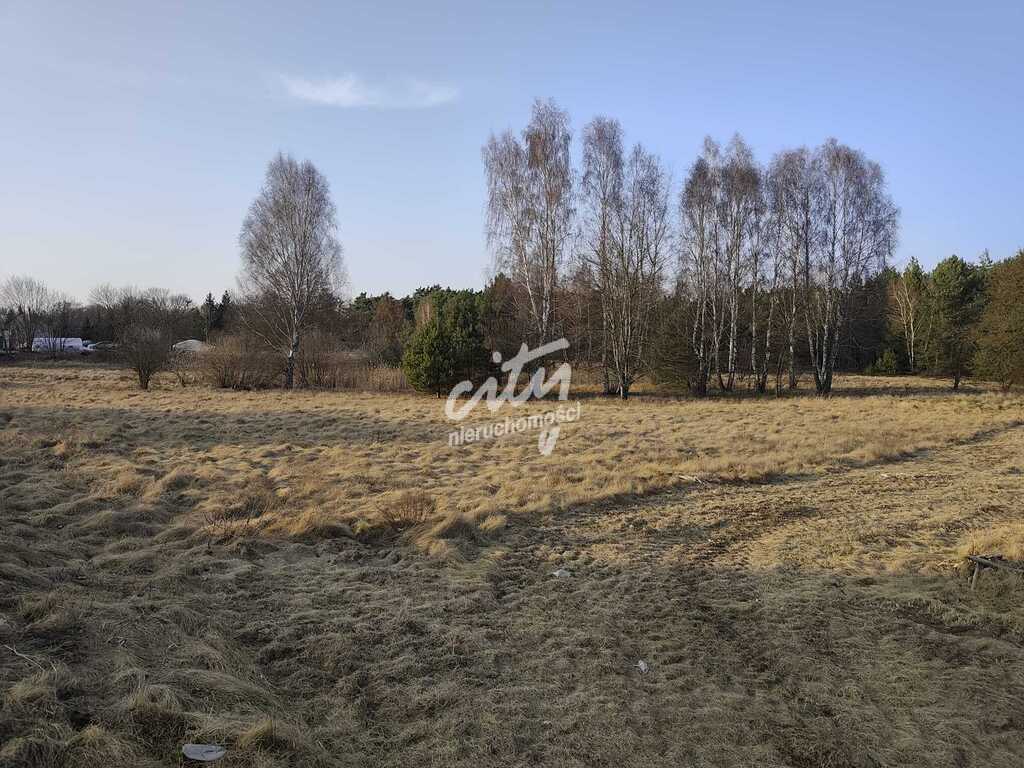 Działka przygotowana pod stację paliw (3)