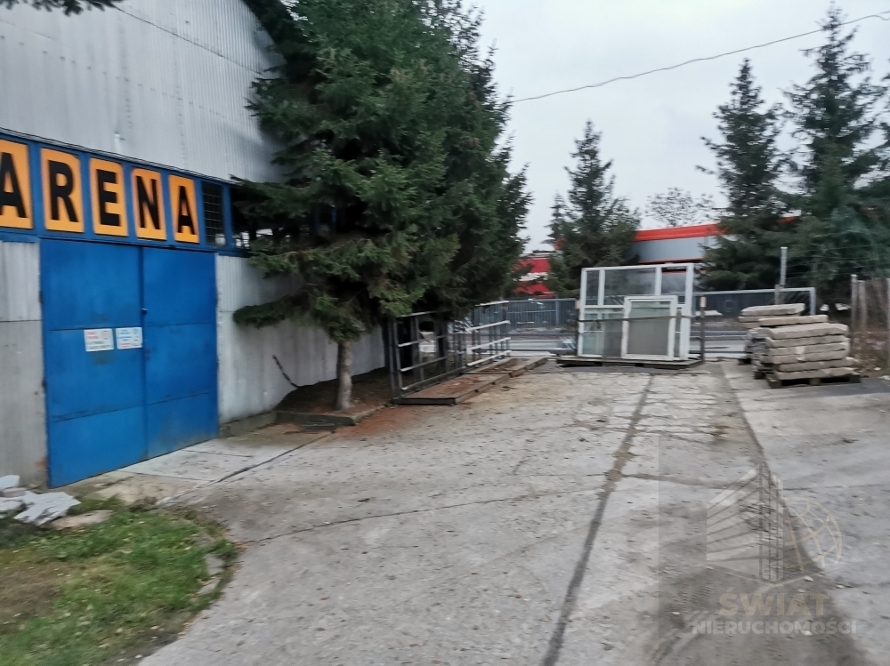 Hala na wynajem (4)