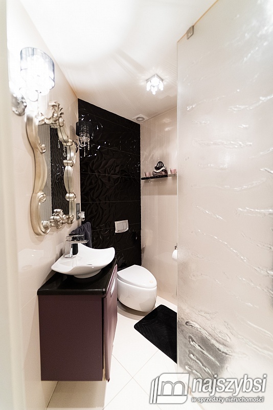 Wyjątkowa posiadłość pod Goleniowem  (15)